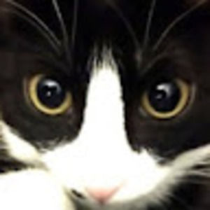 Meet your Posher, Jaime